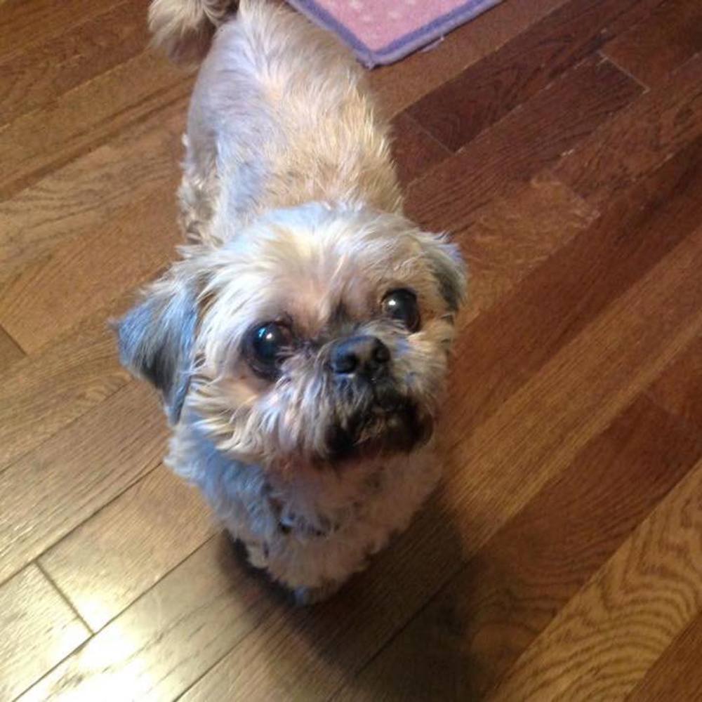 Meet your Posher, Renee